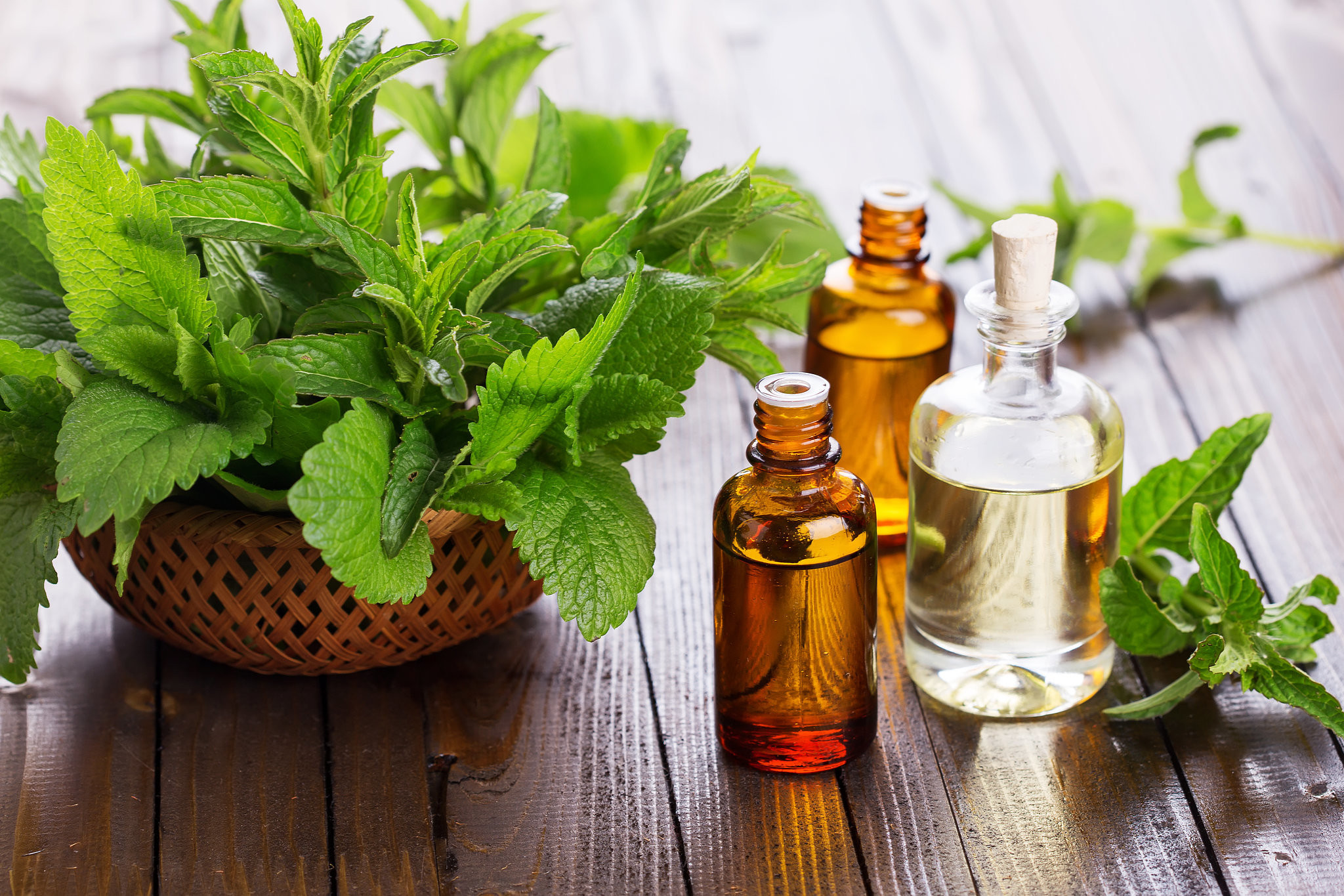 How To Make Peppermint Oil With Easy Steps New Health Advisor